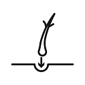 Faza Implantacije (Implantation Phase)